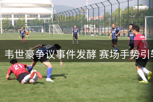 韦世豪争议事件发酵 赛场手势引轩然大波